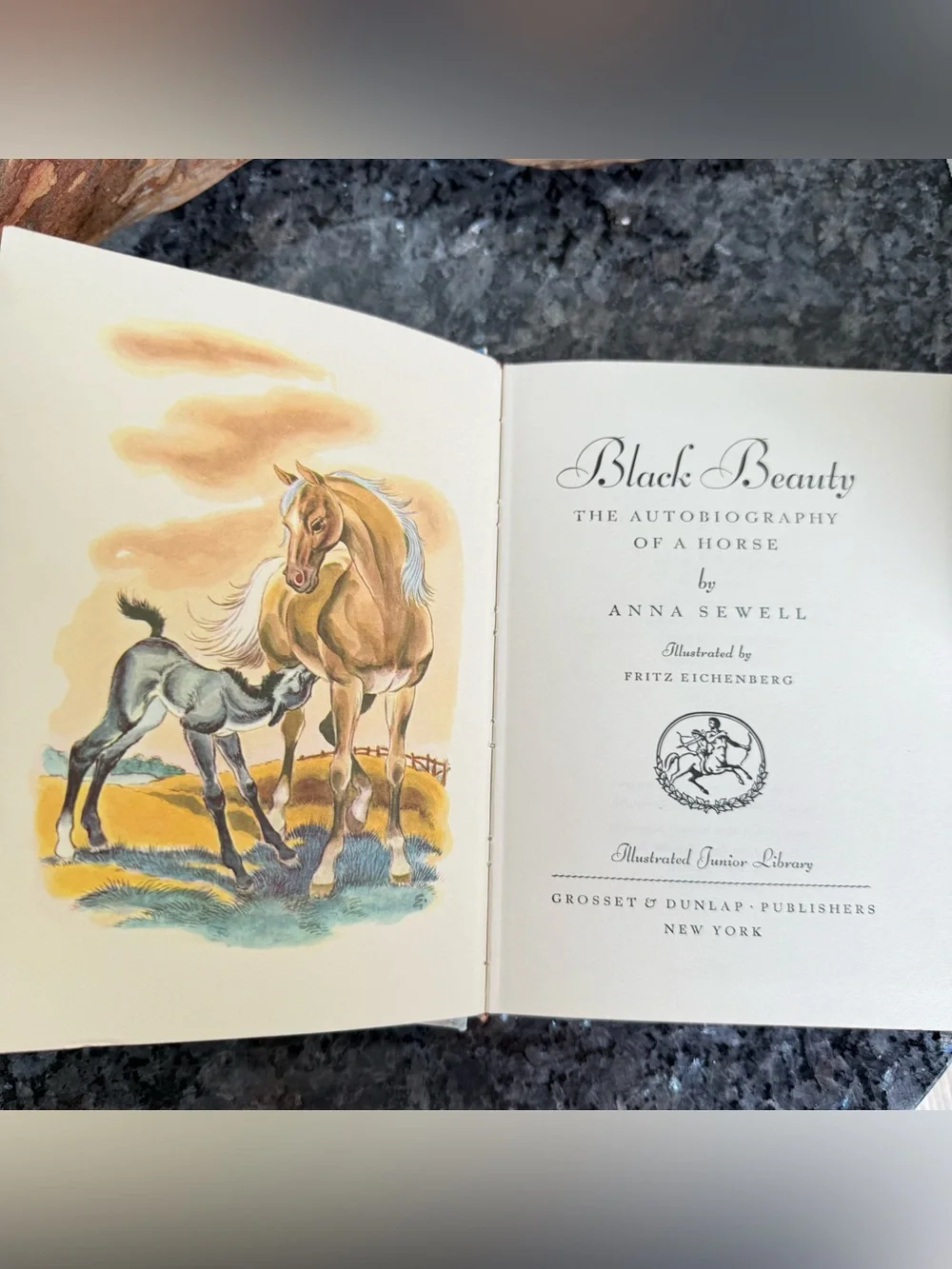 Black Beauty (Illustrated Junior Library) by Anna Sewell (1978 Hardcover)